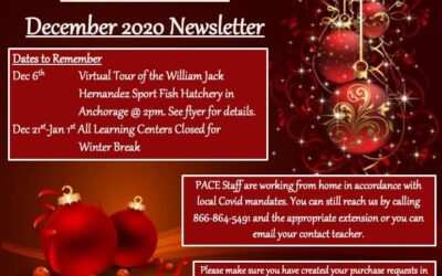 December 2020 Newsletter