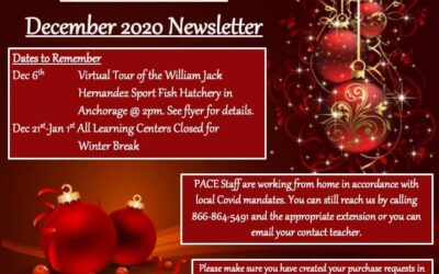 December 2020 Newsletter